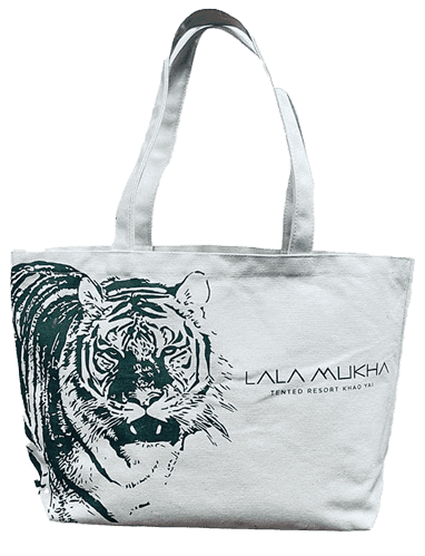 canva bag animate right